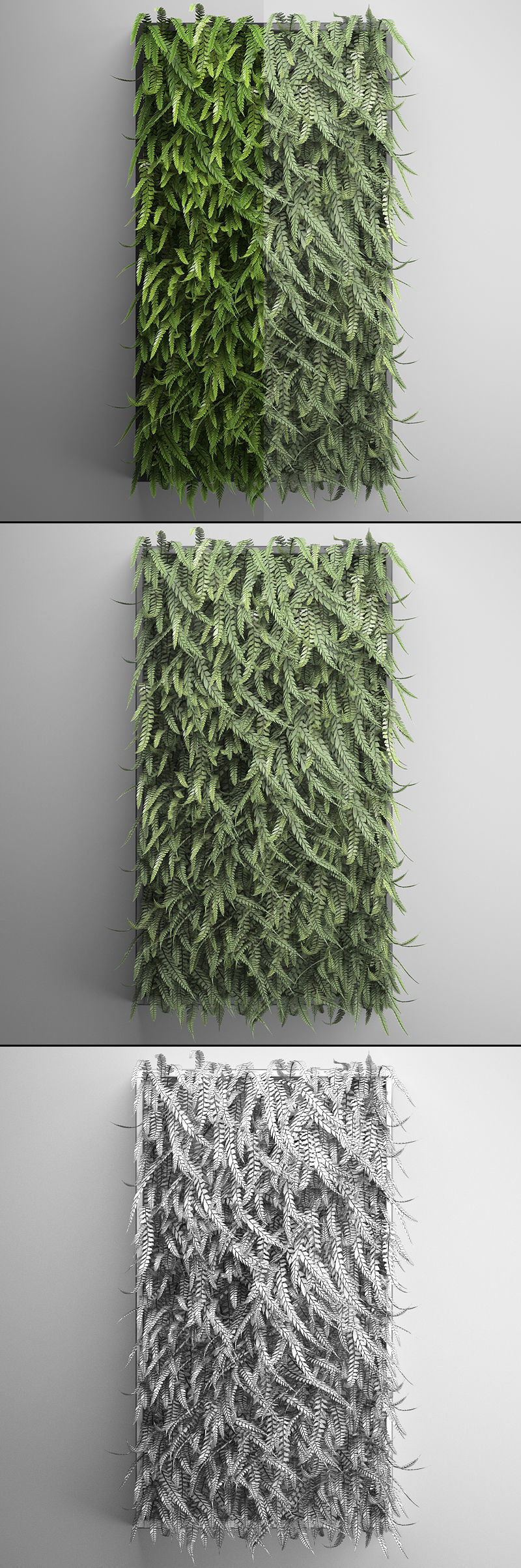 Vertical gardening Fern Wall 3D model_9