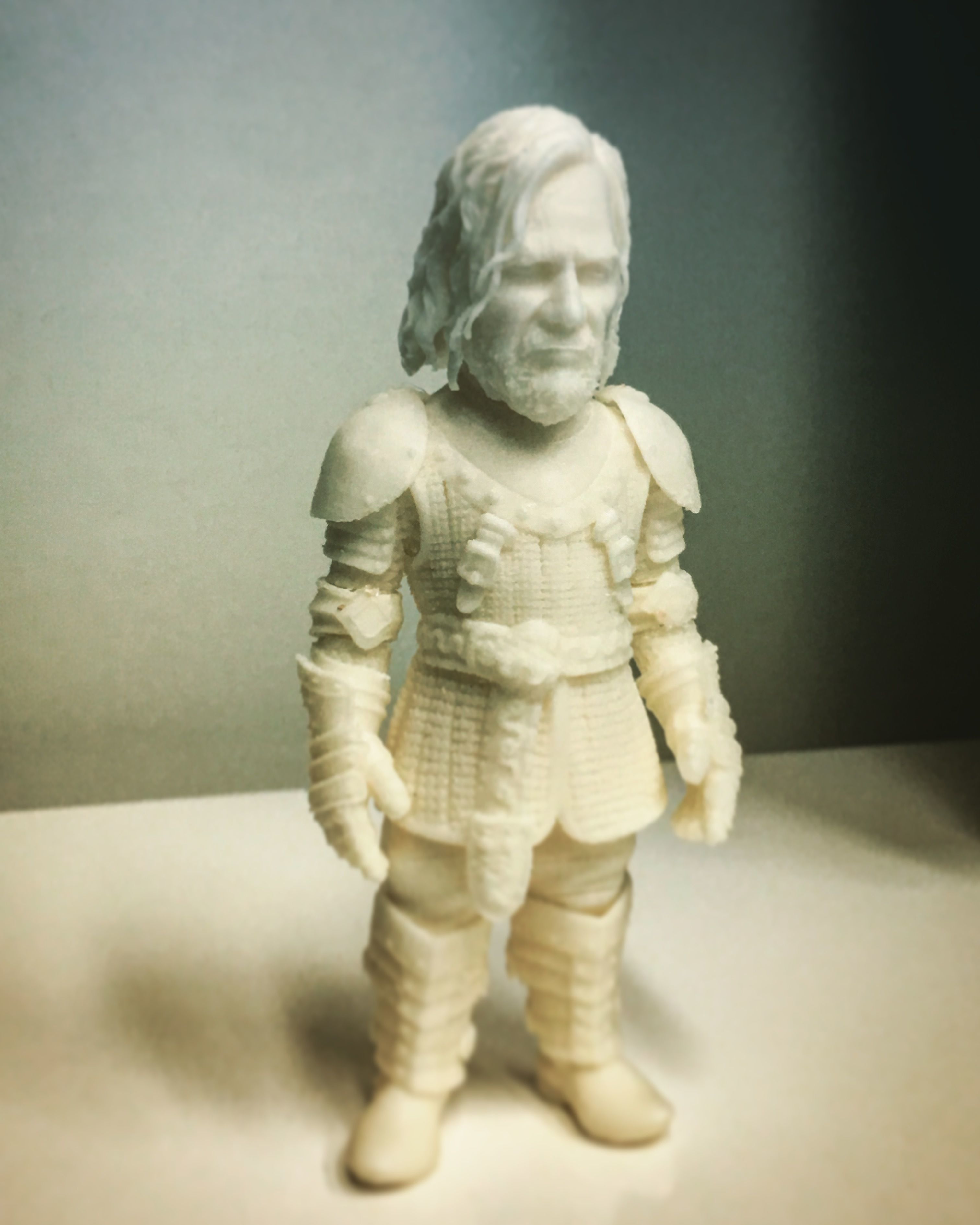 Game of Thrones - The Hound 3D print model_6