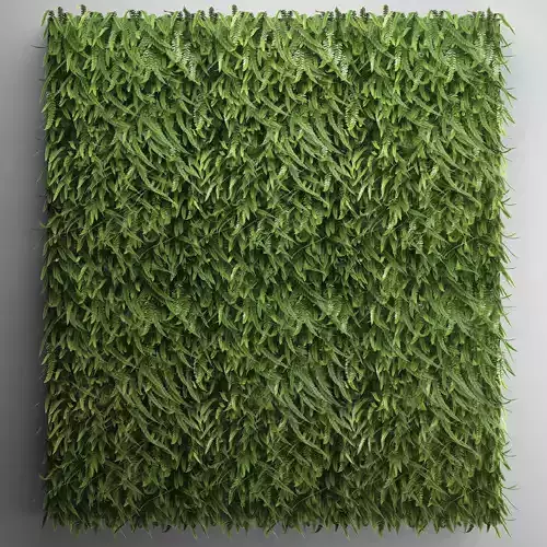Vertical gardening Fern Wall 2 3D model