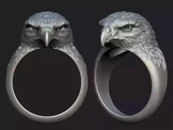 Hawk ring  3D print model