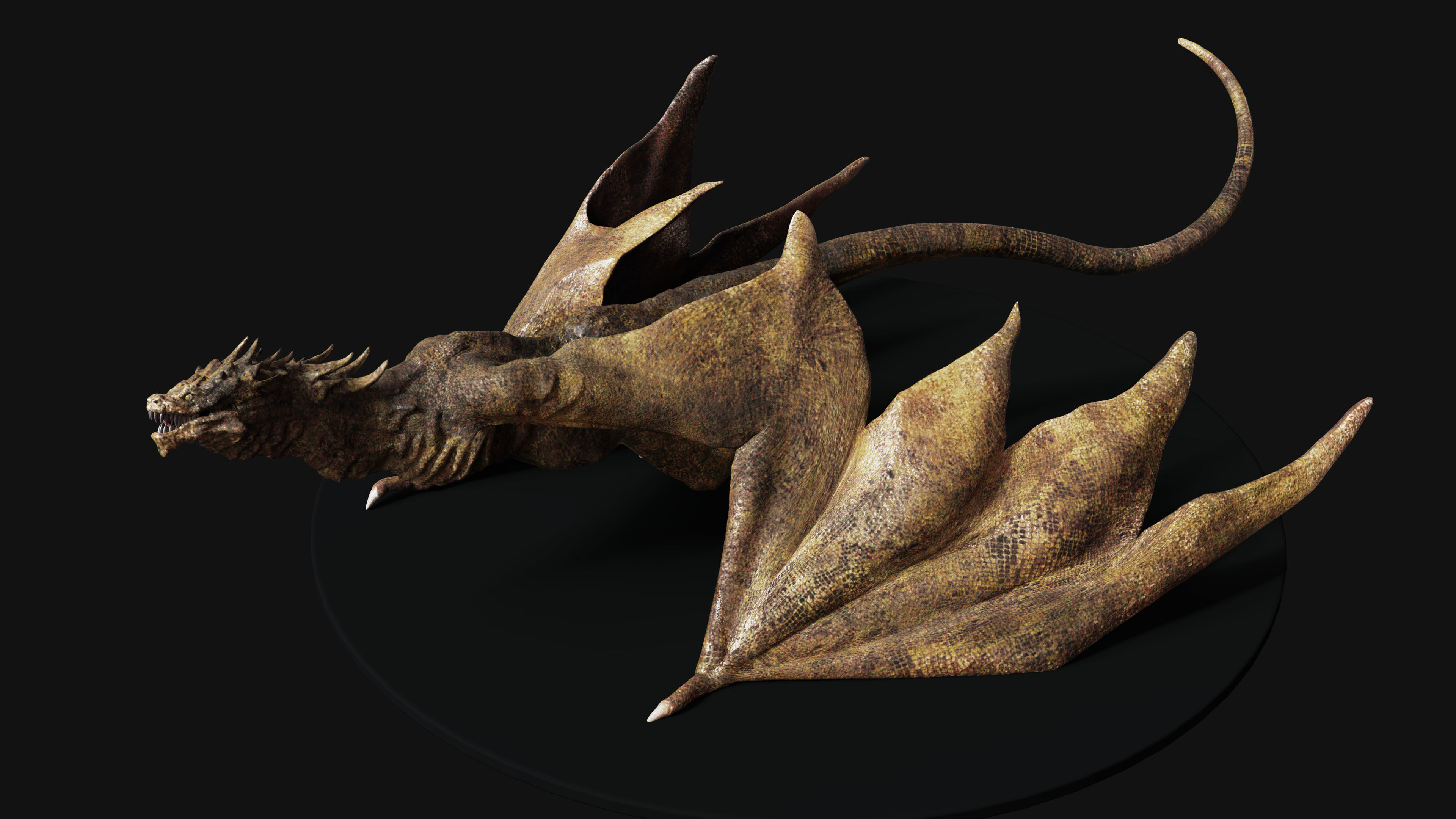Big Fantasy Wyvern Dragon 3D model_7