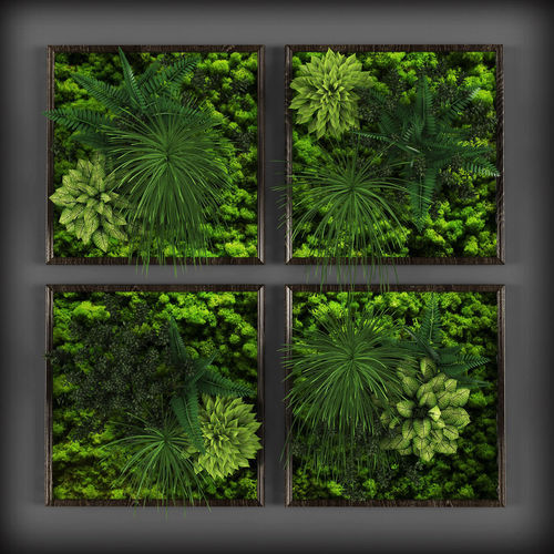 Vertical gardening 01  Low-poly 3D model