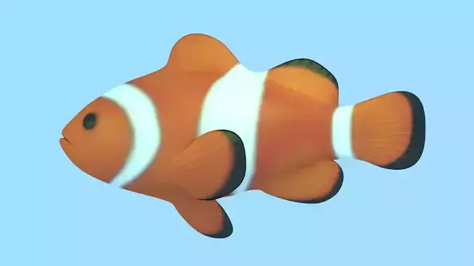 Clownfish Rigged 3D model