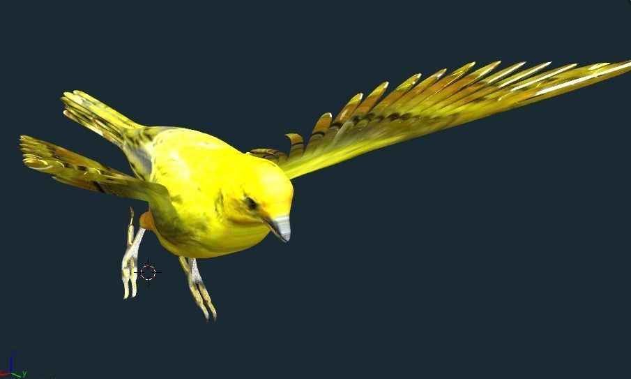 yellow bird animated Low-poly 3D model_8