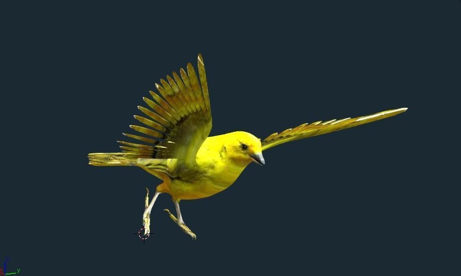 yellow bird animated Low-poly 3D model_2