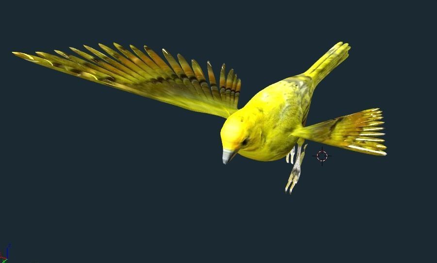 yellow bird animated Low-poly 3D model_7