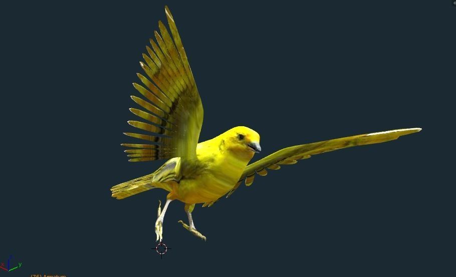 yellow bird animated Low-poly 3D model_5