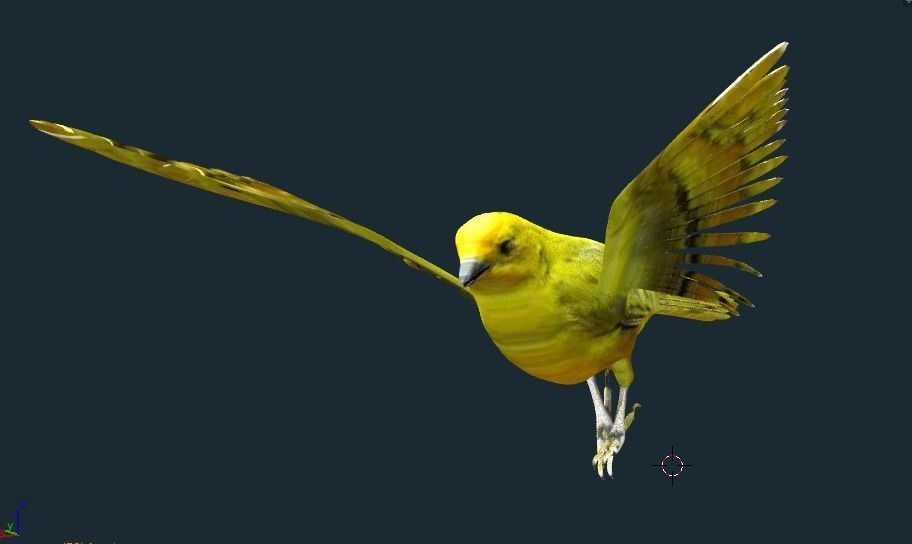 yellow bird animated Low-poly 3D model_6