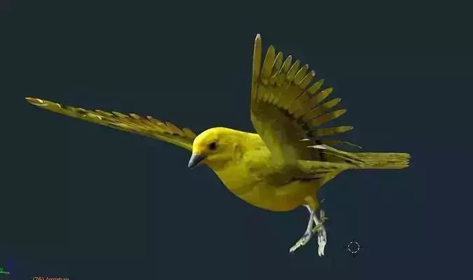 yellow bird animated Low-poly 3D model