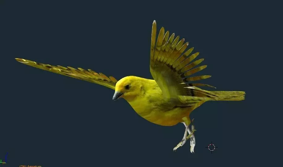 yellow bird animated Low-poly 3D model_0