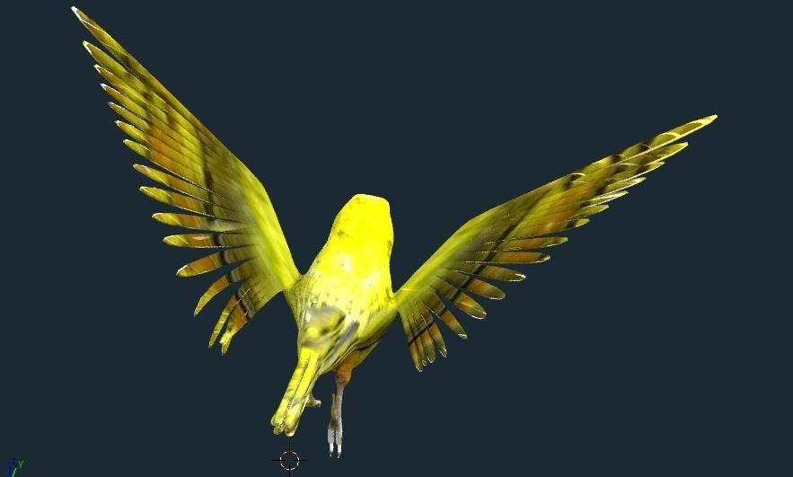yellow bird animated Low-poly 3D model_4
