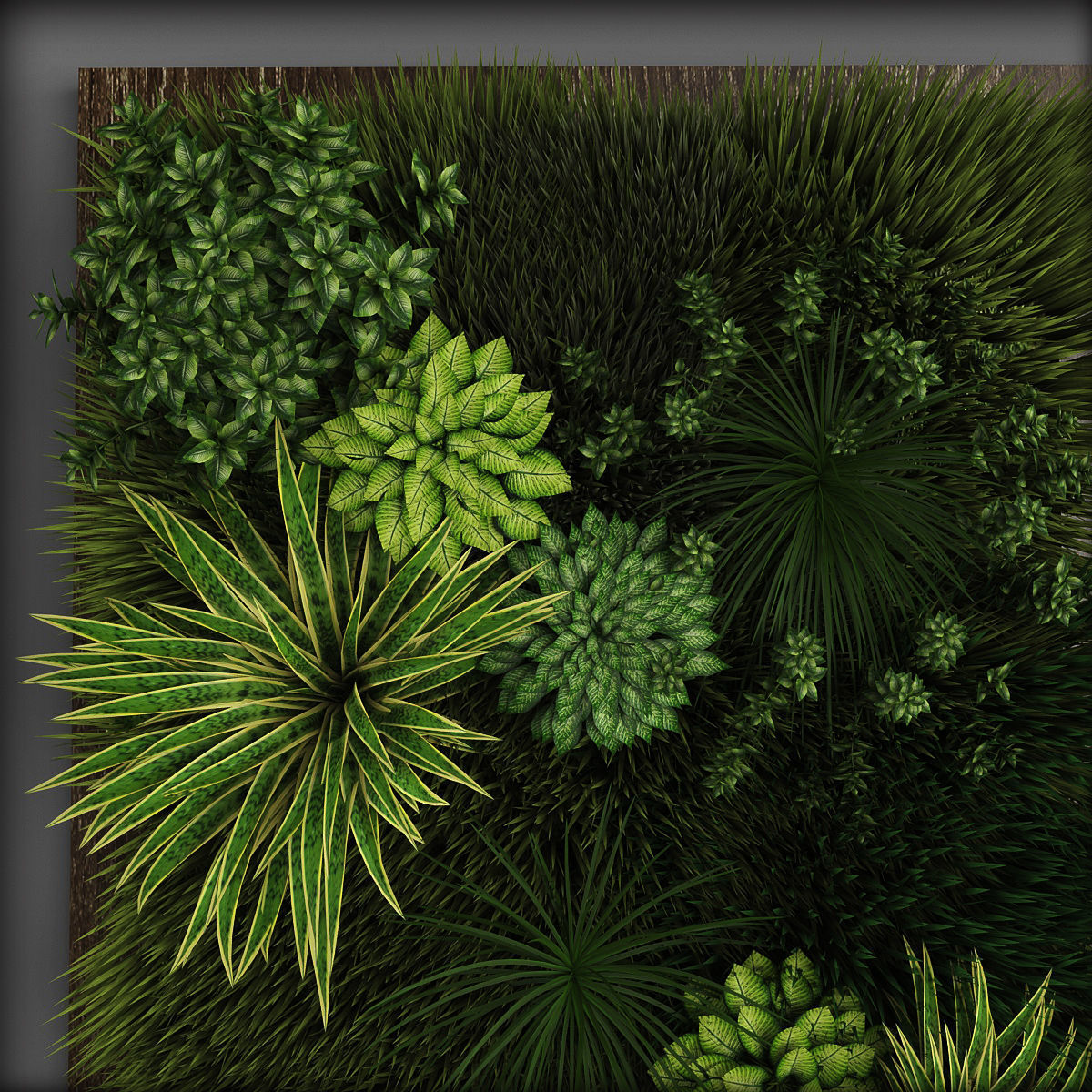 Vertical gardening 02 Low-poly 3D model_1