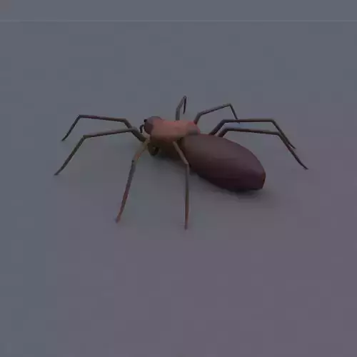 Spider Low-poly 3D model