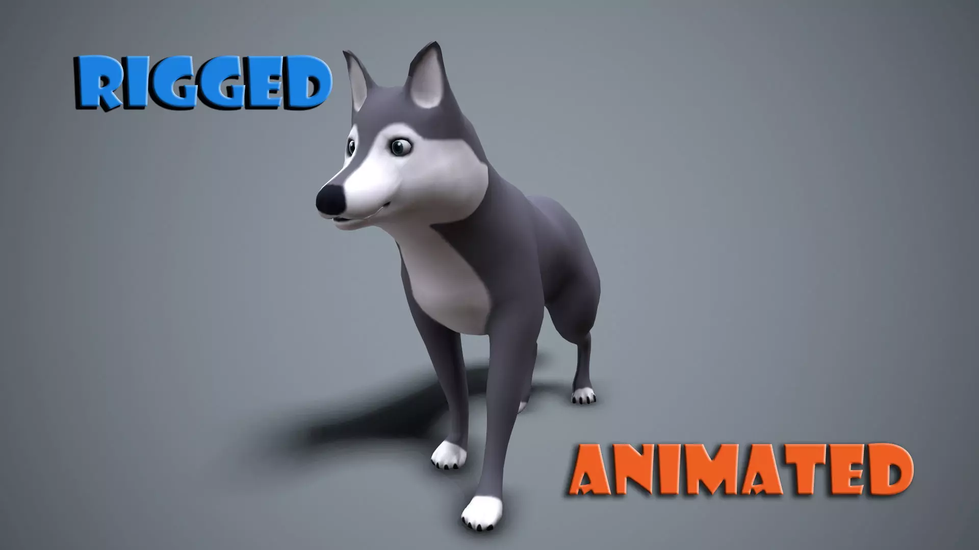 Cartoon Husky Low-poly 3D model