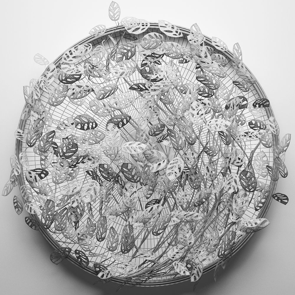 Vertical gardening Monstera 3D model_6