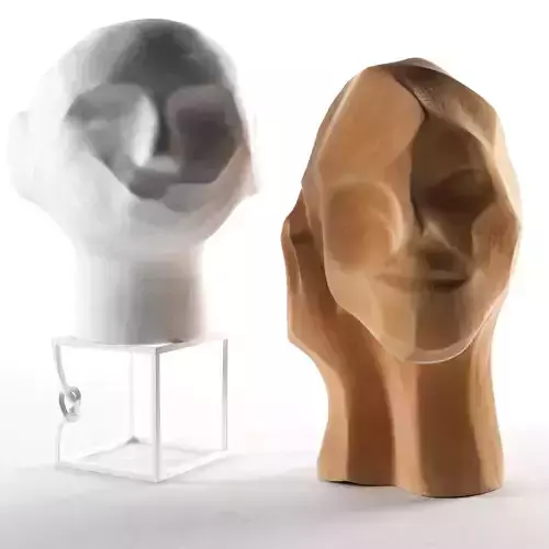 Head Sculptures 2