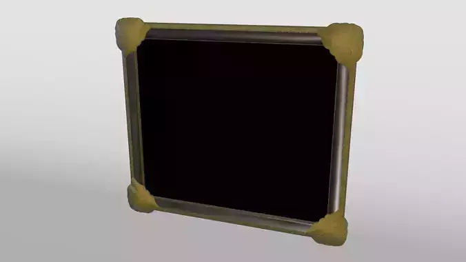 Leather Gold Frame