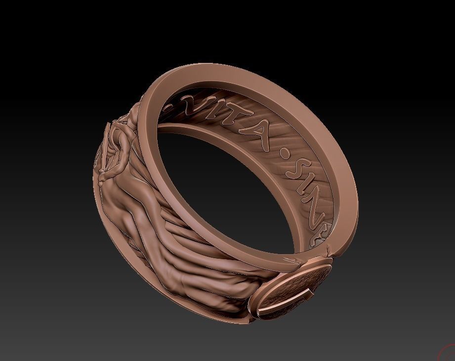Spartan ring 3D print model_12