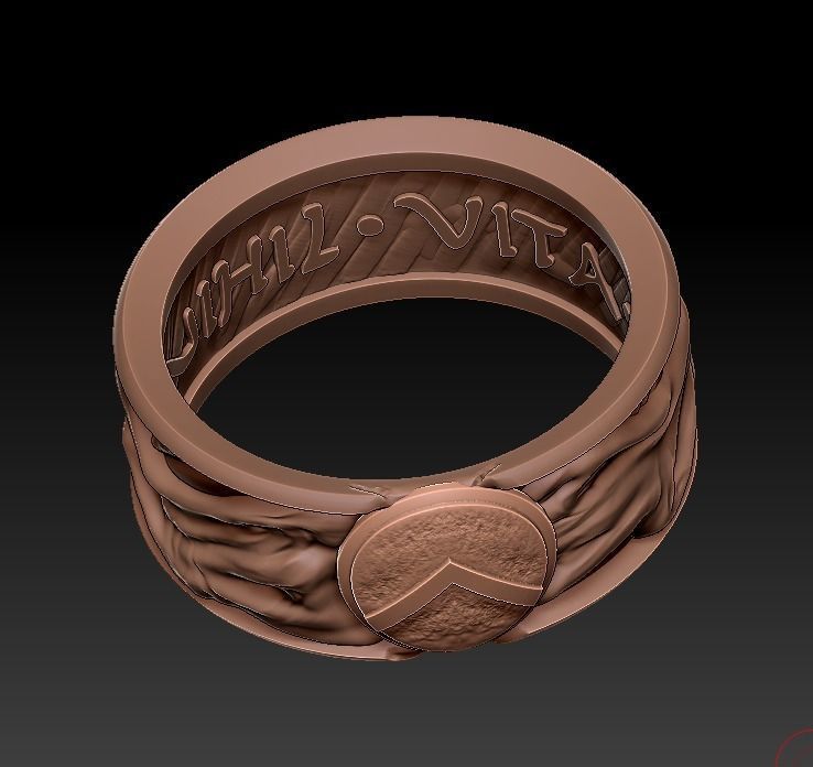 Spartan ring 3D print model_9