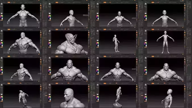 humanoid pack 3D Model Collection
