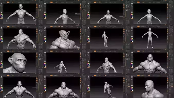 male pack 3D Model Collection