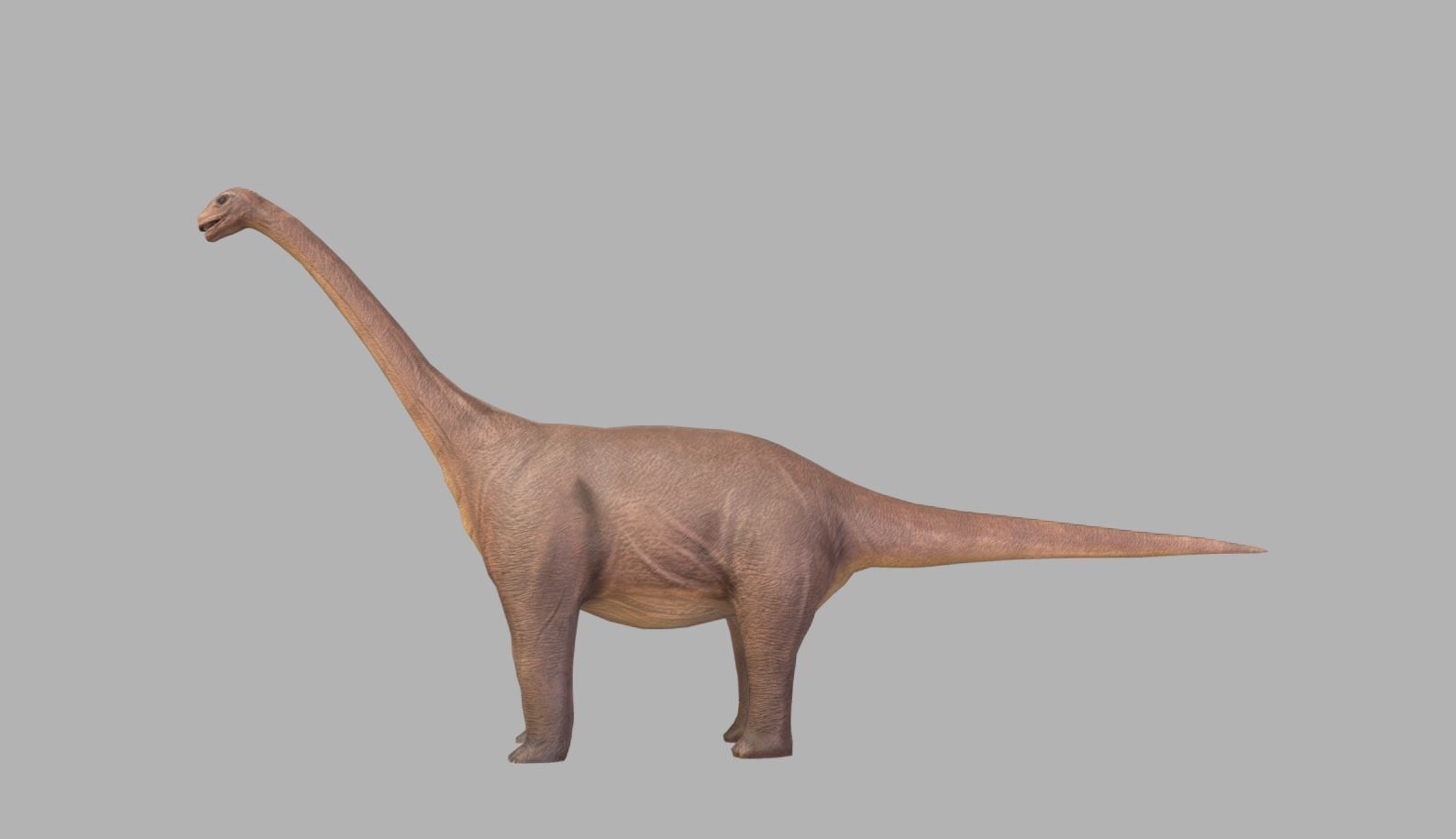 Sauropod Character Low-poly 3D model_1