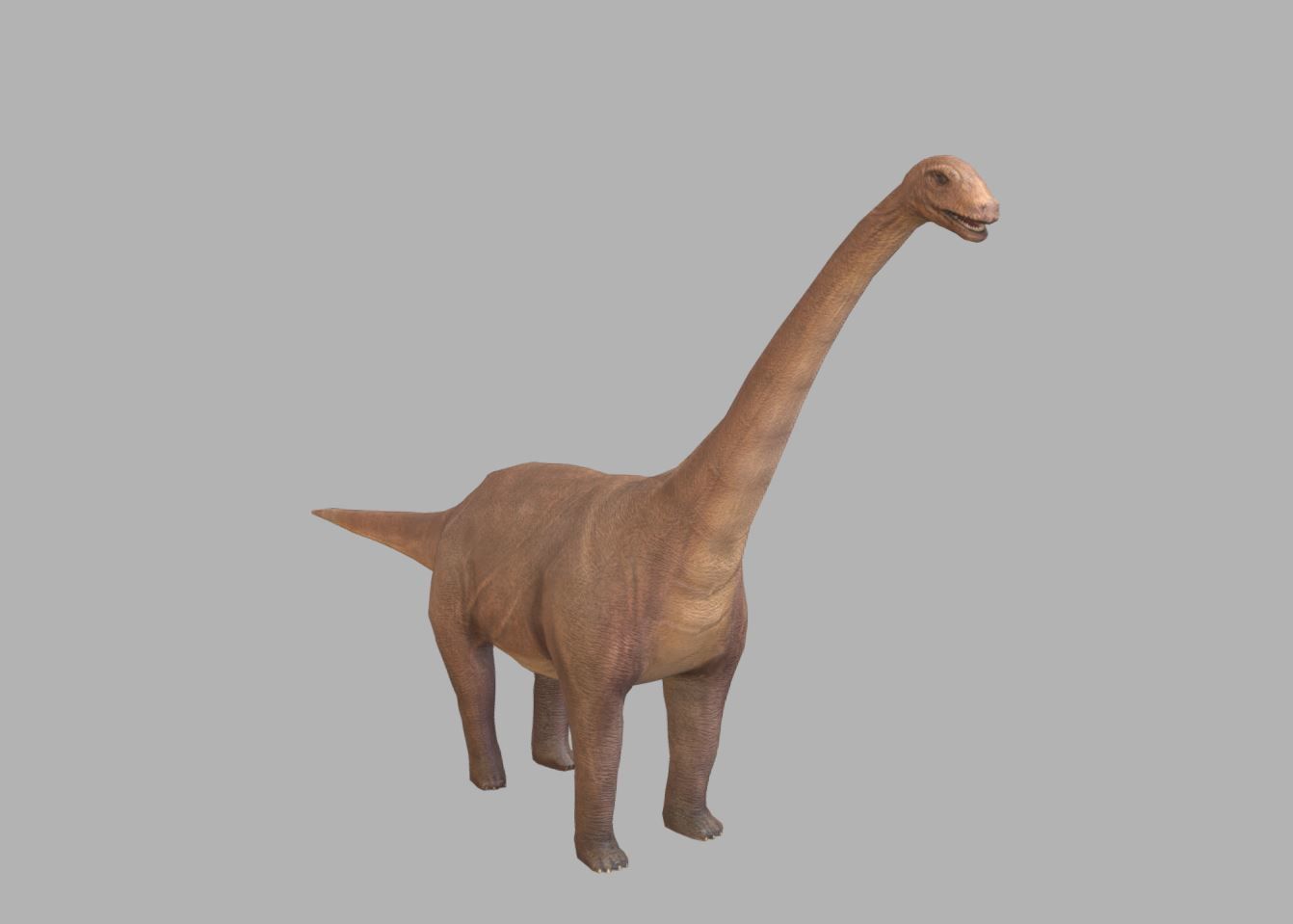 Sauropod Character Low-poly 3D model_5