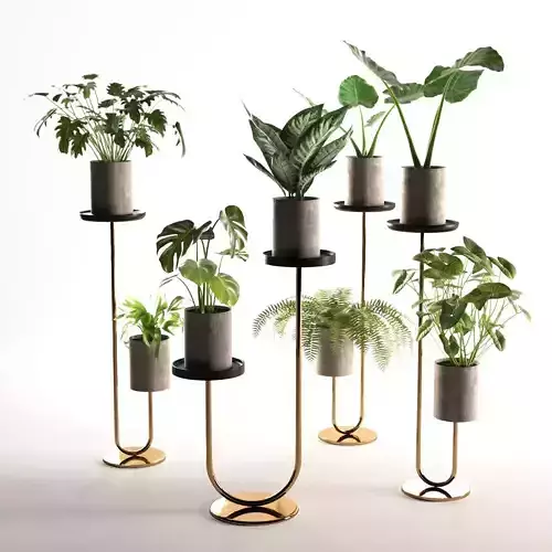 Cigales Plant Stands 3D model