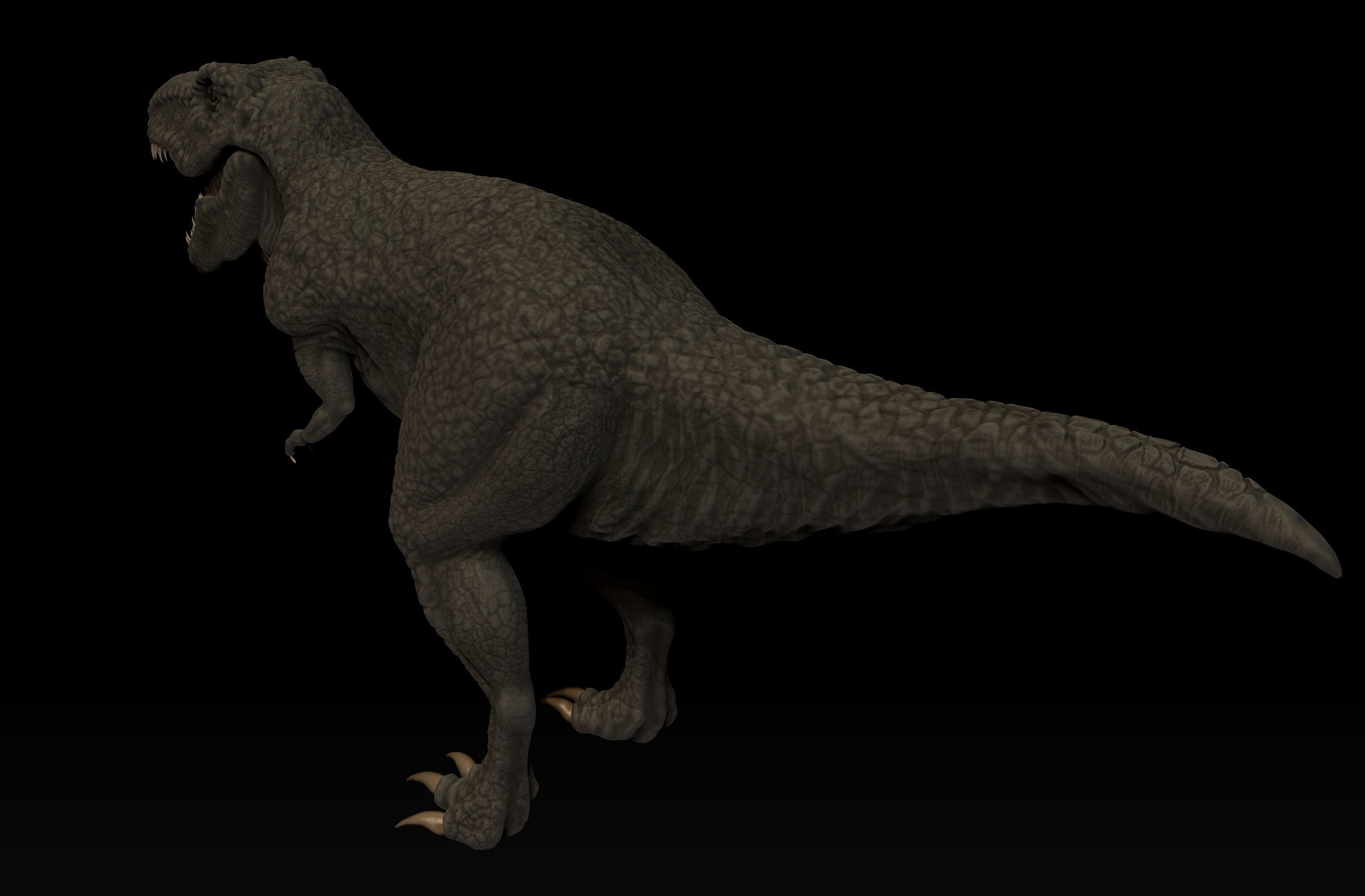 T-ReX t - rex dinosaur Low-poly 3D model_7