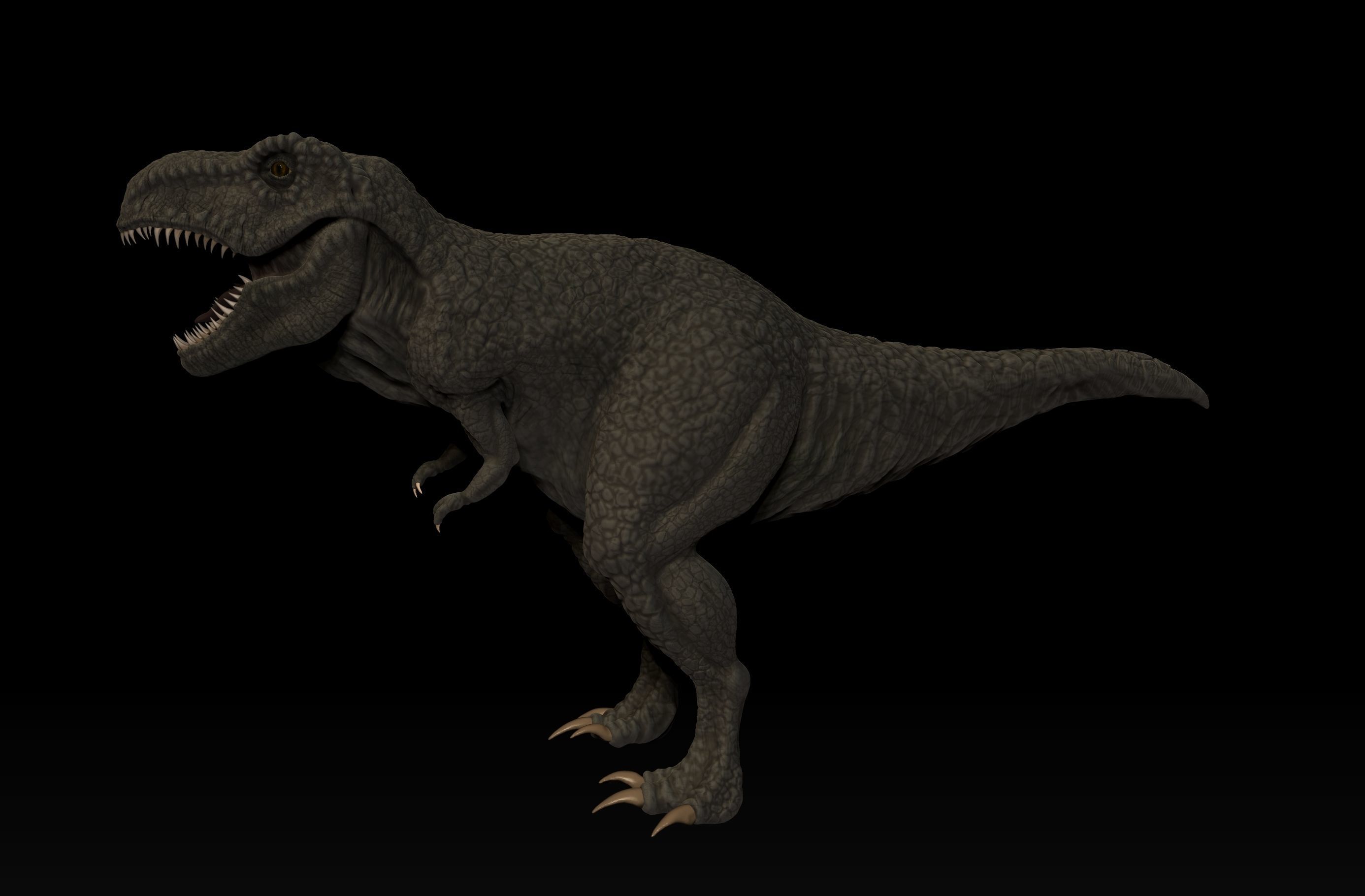 T-ReX t - rex dinosaur Low-poly 3D model_12