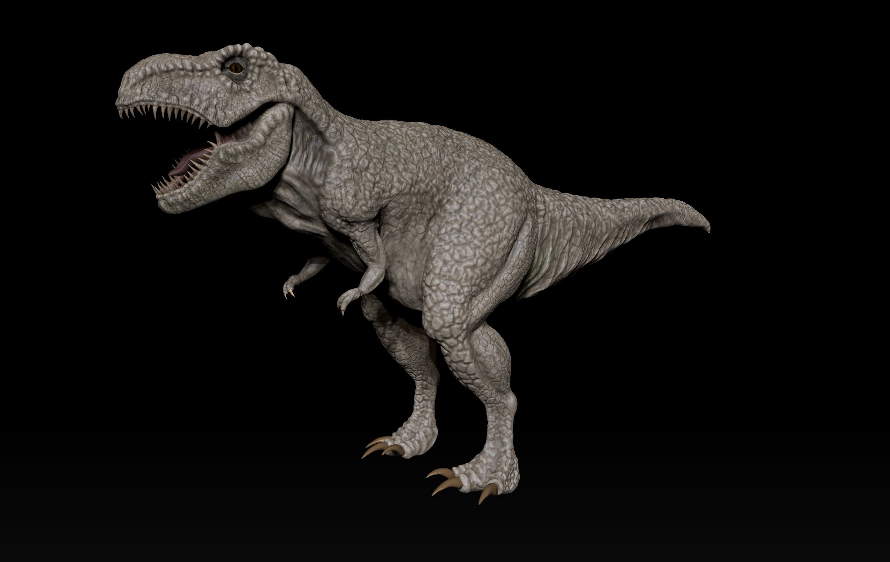 T-ReX t - rex dinosaur Low-poly 3D model_13
