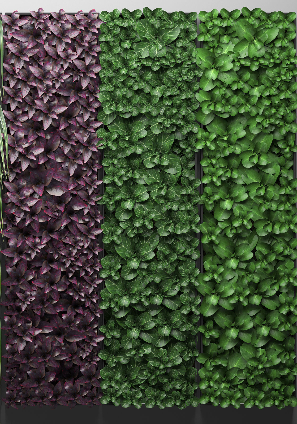 Vertical gardening collection 3D model_3
