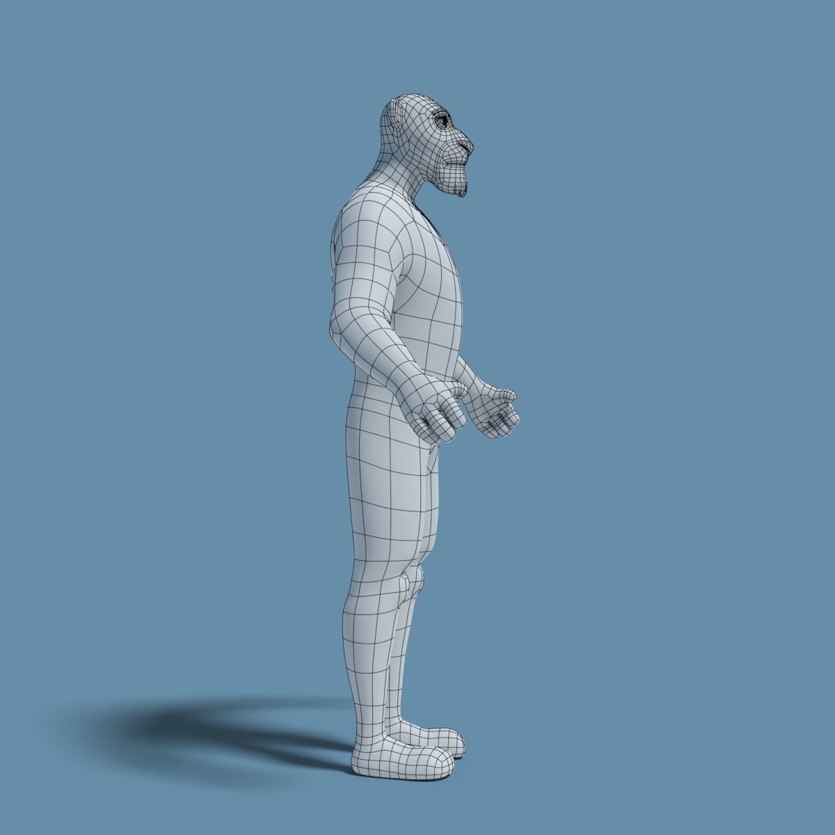Sam the Lion 3D model_22