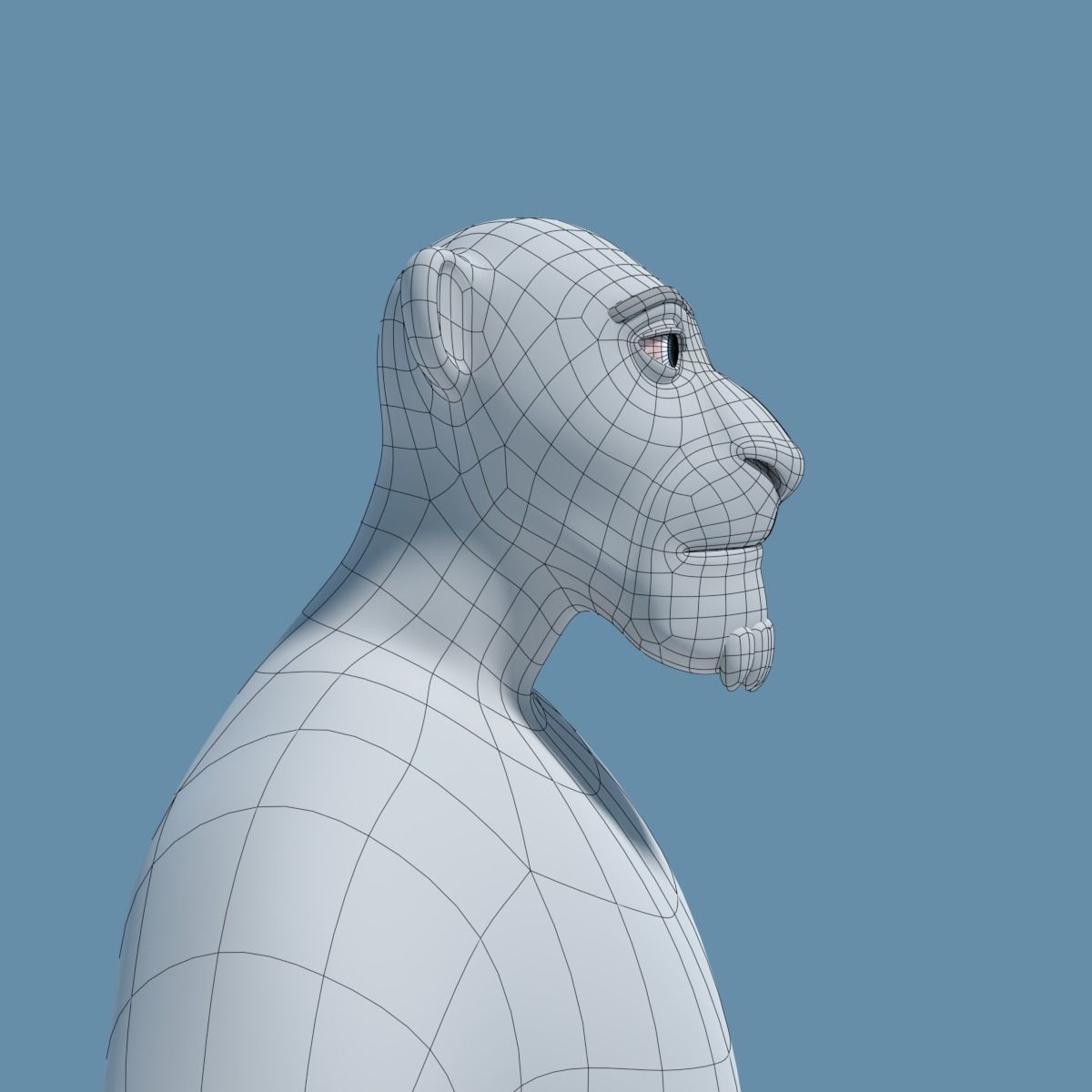 Sam the Lion 3D model_17