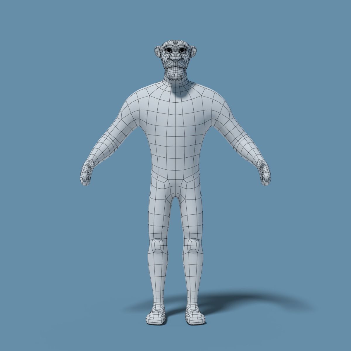 Sam the Lion 3D model_20