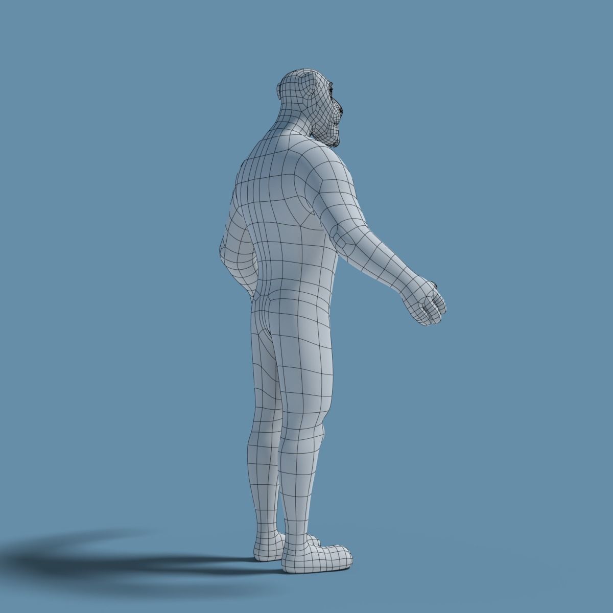 Sam the Lion 3D model_23