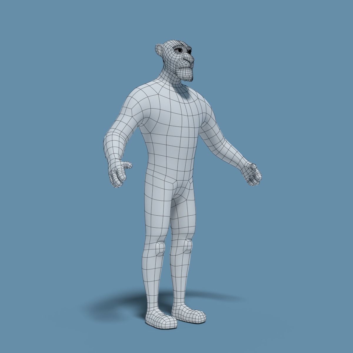 Sam the Lion 3D model_21