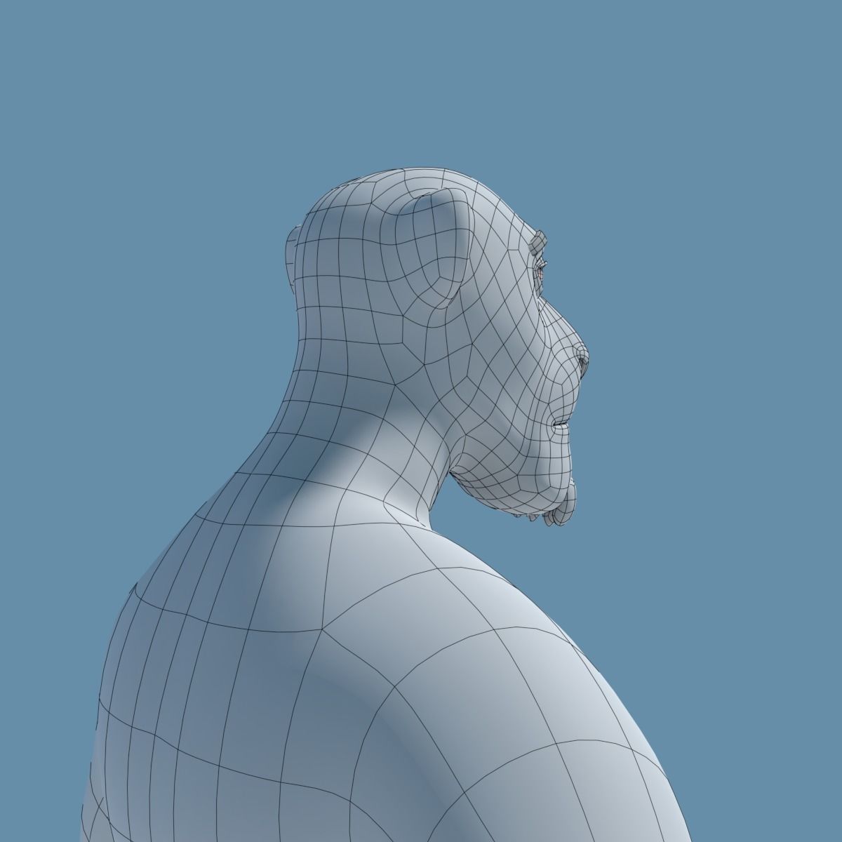 Sam the Lion 3D model_18