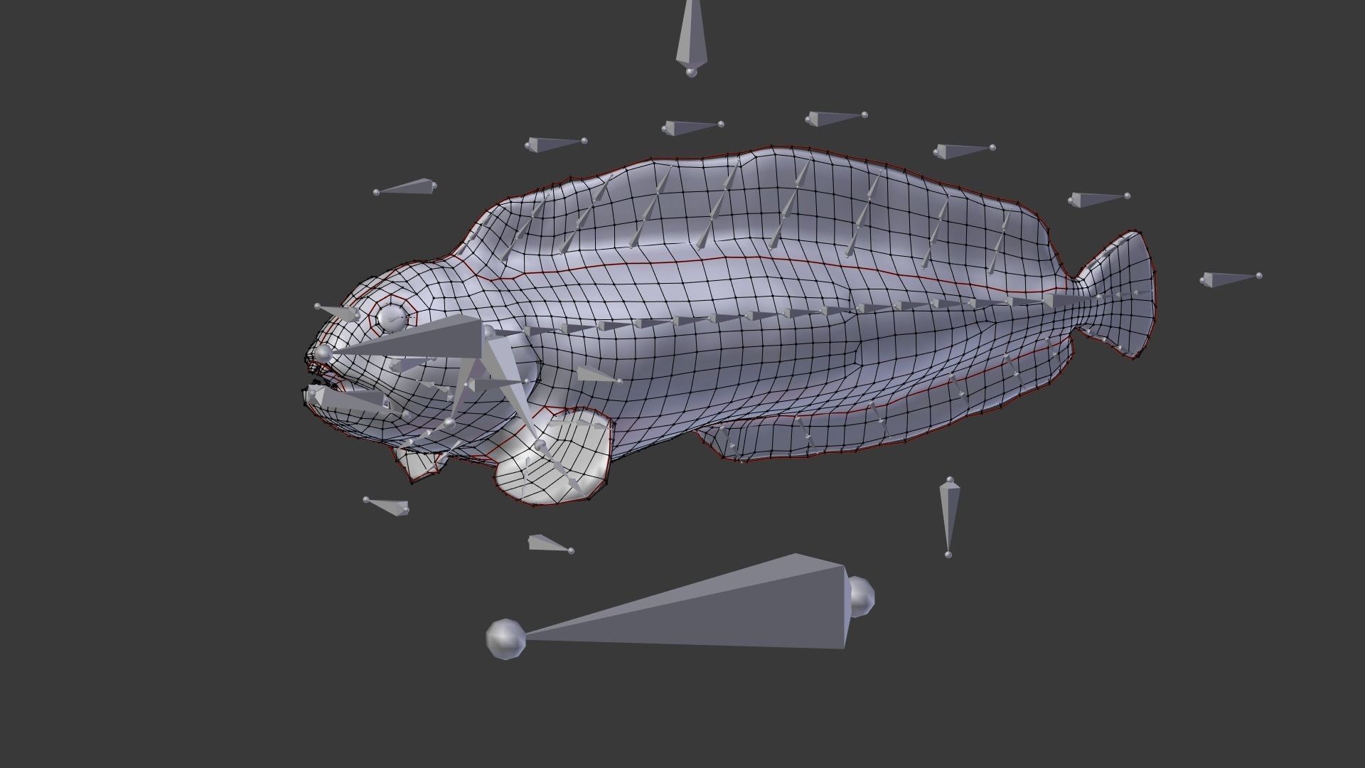 Atlantic Wolf Fish 3D model_7