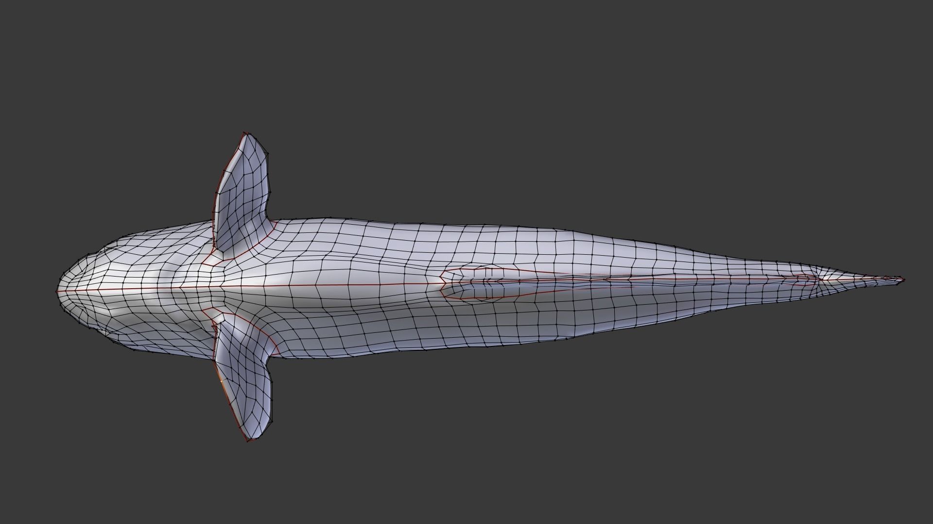 Atlantic Wolf Fish 3D model_6