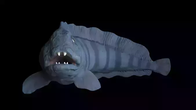 Atlantic Wolf Fish 3D model