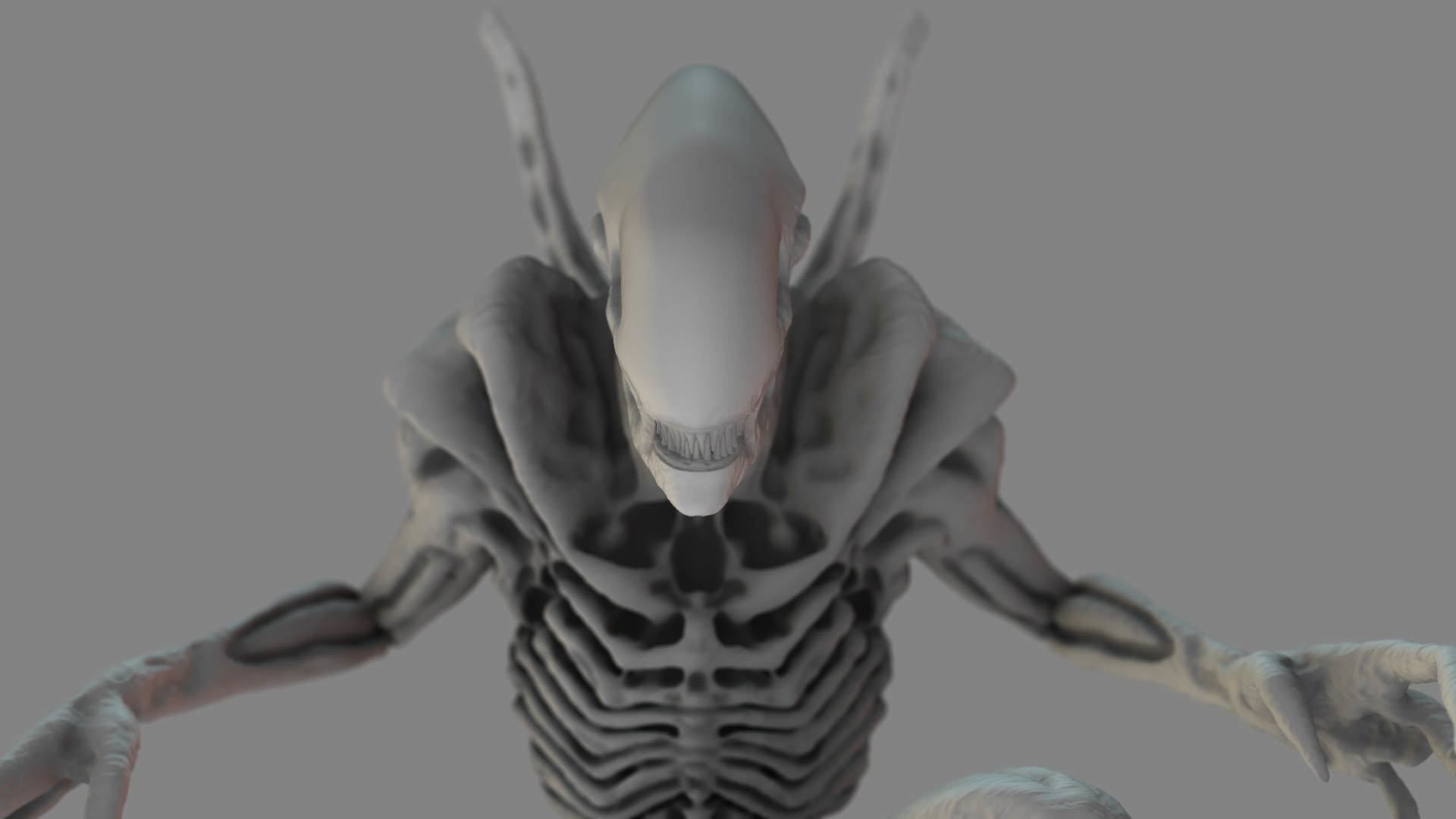 Alien Xenomorph 3D Print Model 3D print model_2