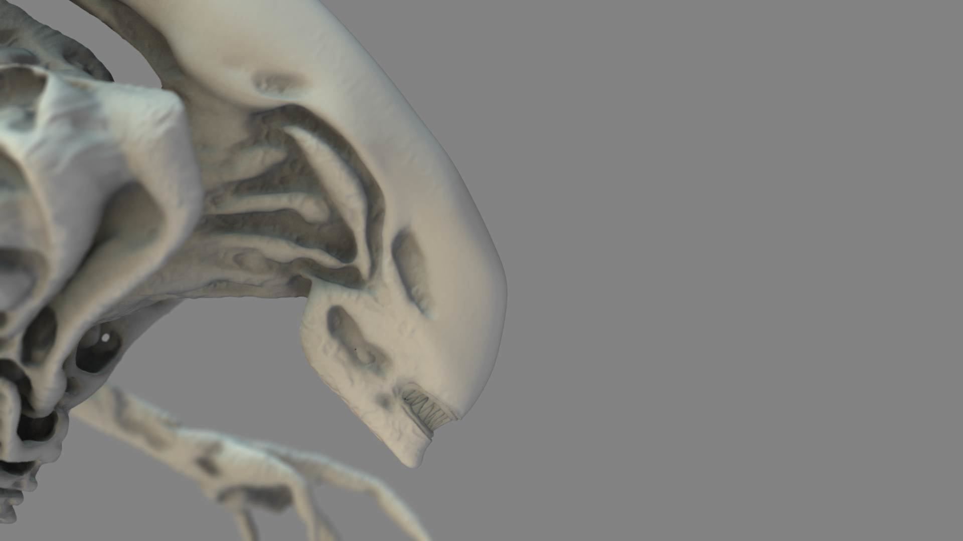 Alien Xenomorph 3D Print Model 3D print model_6