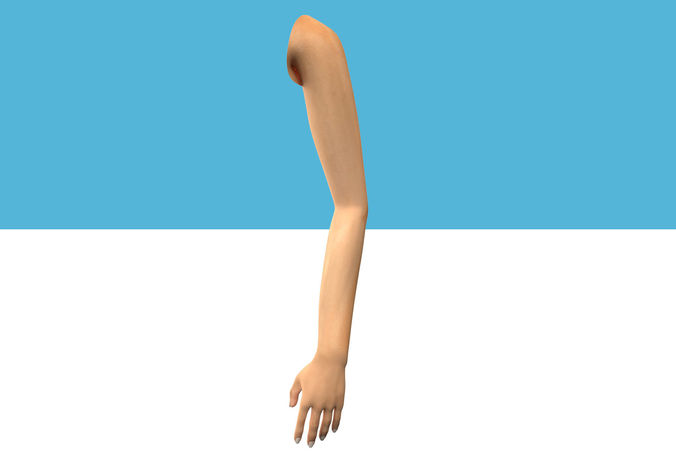 Female Arm Rig Low-poly 3D model