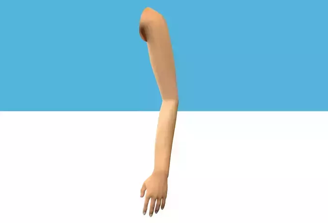 Female Arm Rig Low-poly 3D model