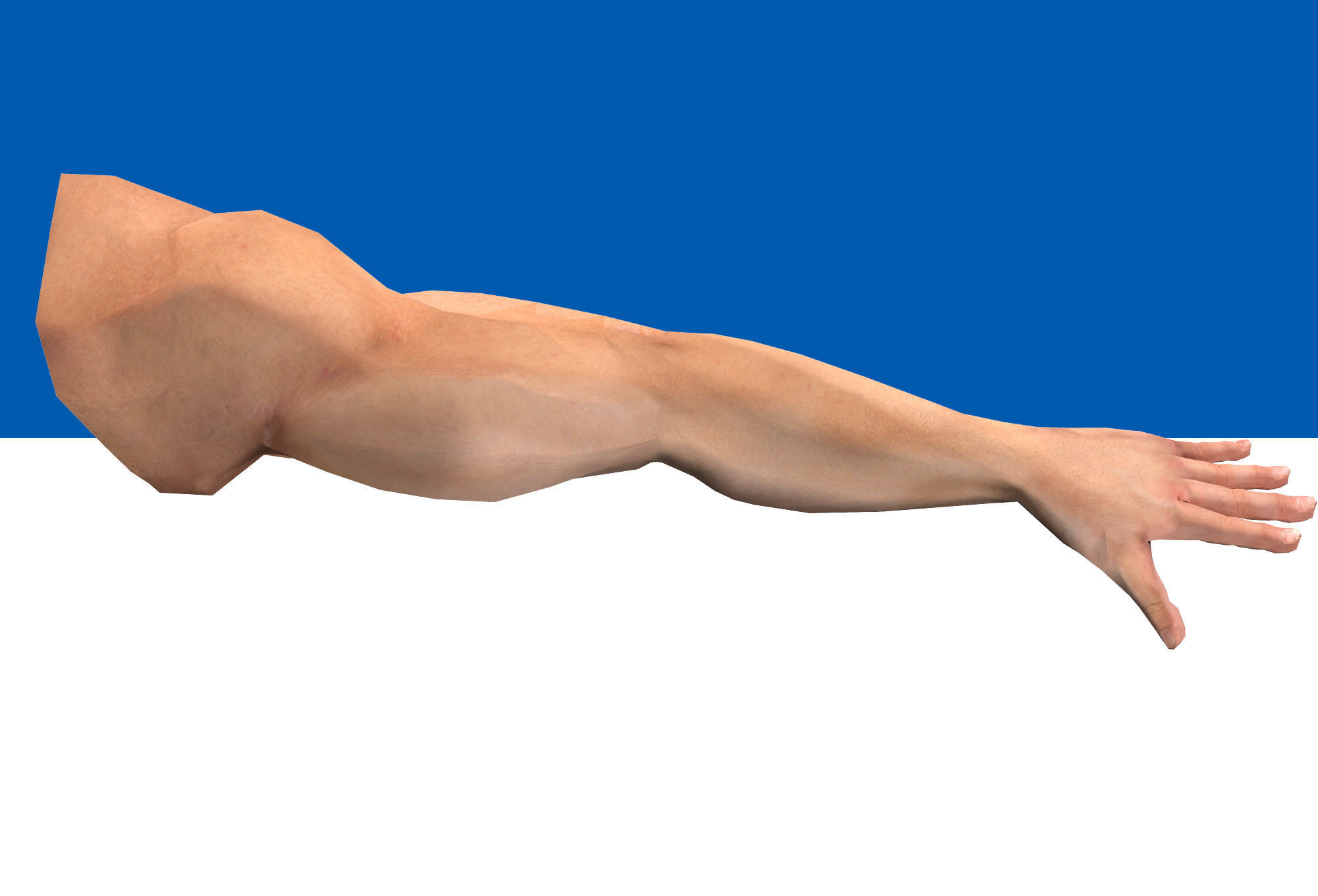 Male Arm Rig Low-poly 3D model_9