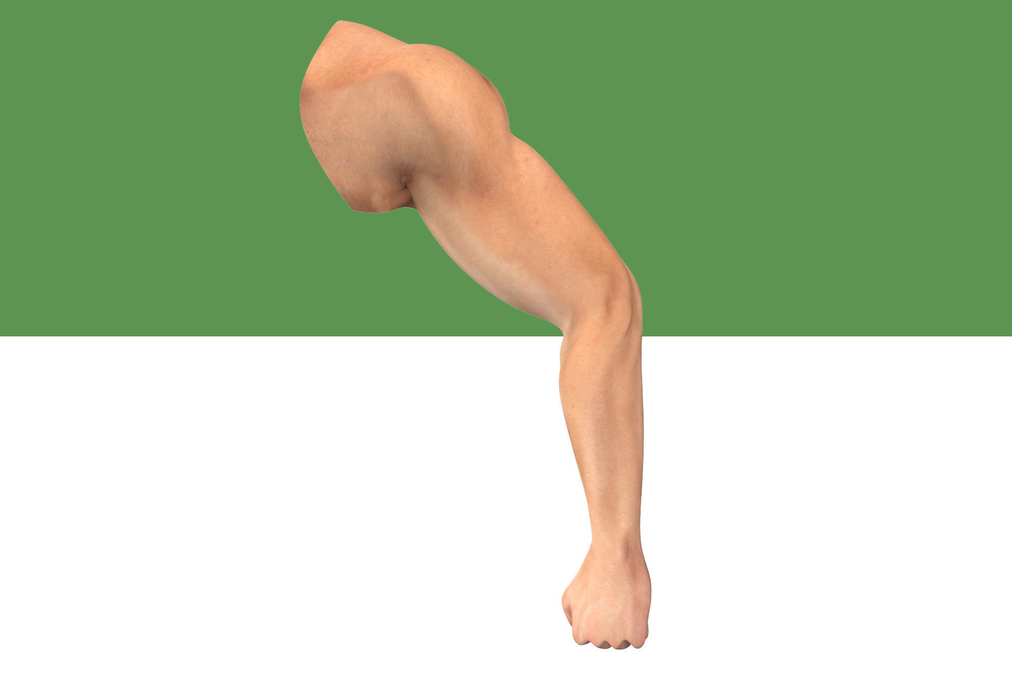 Male Arm Rig Low-poly 3D model_2