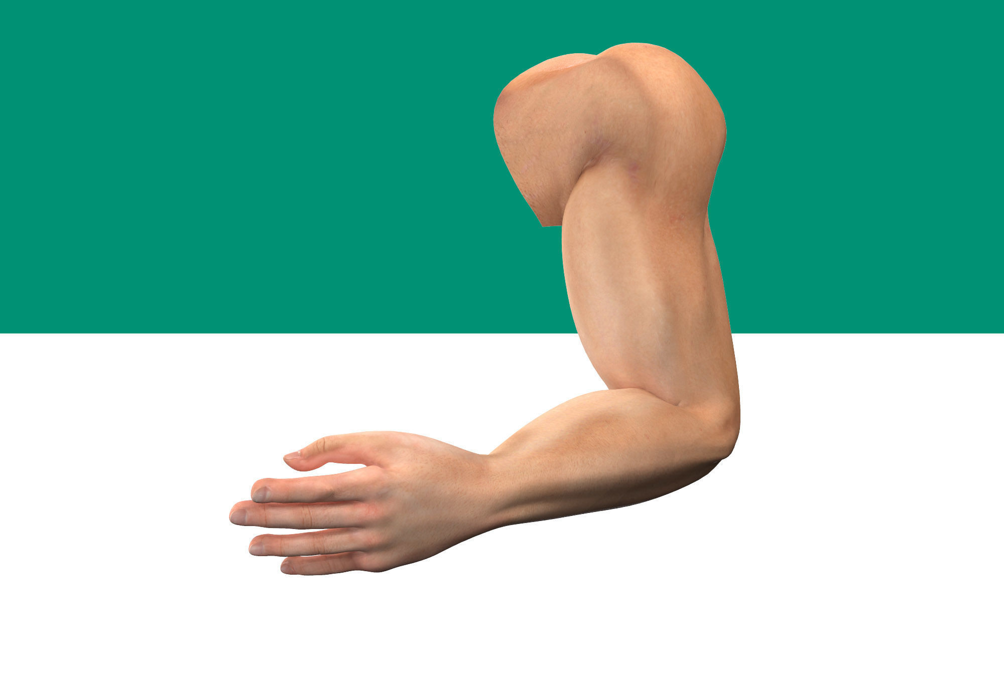 Male Arm Rig Low-poly 3D model_10