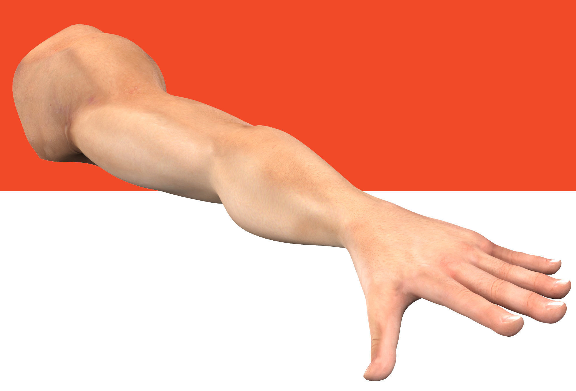 Male Arm Rig Low-poly 3D model_7