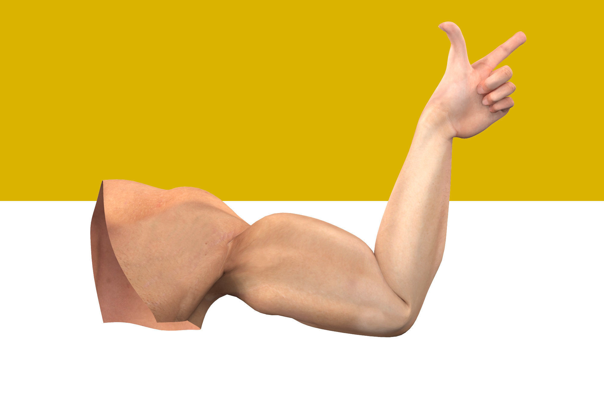 Male Arm Rig Low-poly 3D model_5